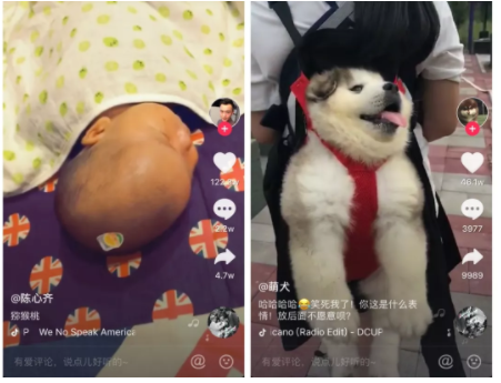 最怕你拍了100条抖音，却连100个点赞都没有