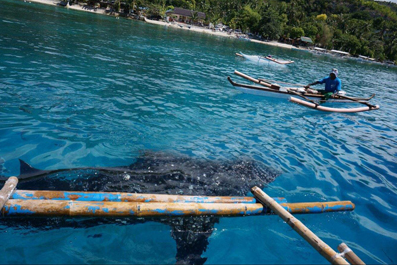 ps淘宝图片处理教程：ps怎么羽化图片?