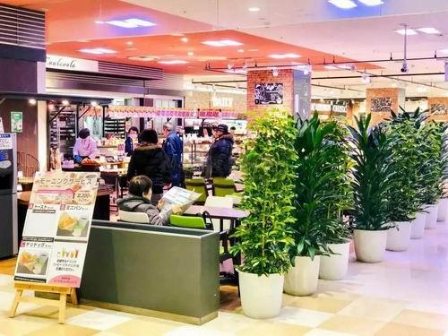 购物中心适老化设计与思考