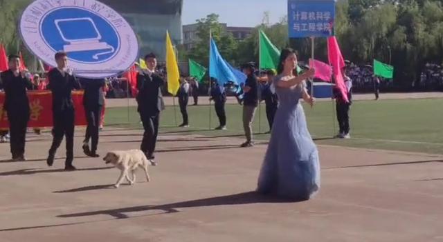 还记得去年运动会得亚军，但被保安拎出去的狗狗吗？今年它又来了