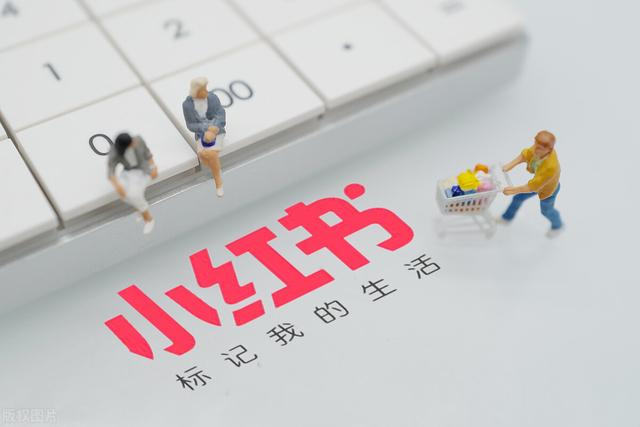 小红书新手入门规则，小红书新手入门应该如何运营