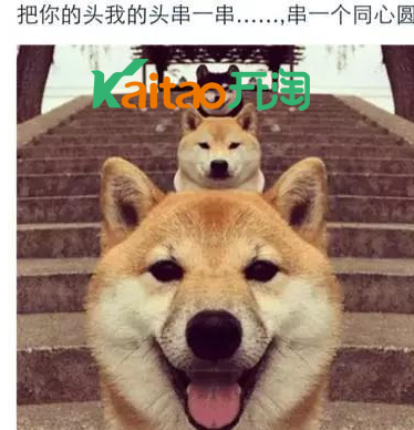 毛菇小象给告诉你如何利用微淘打造双十一爆款!