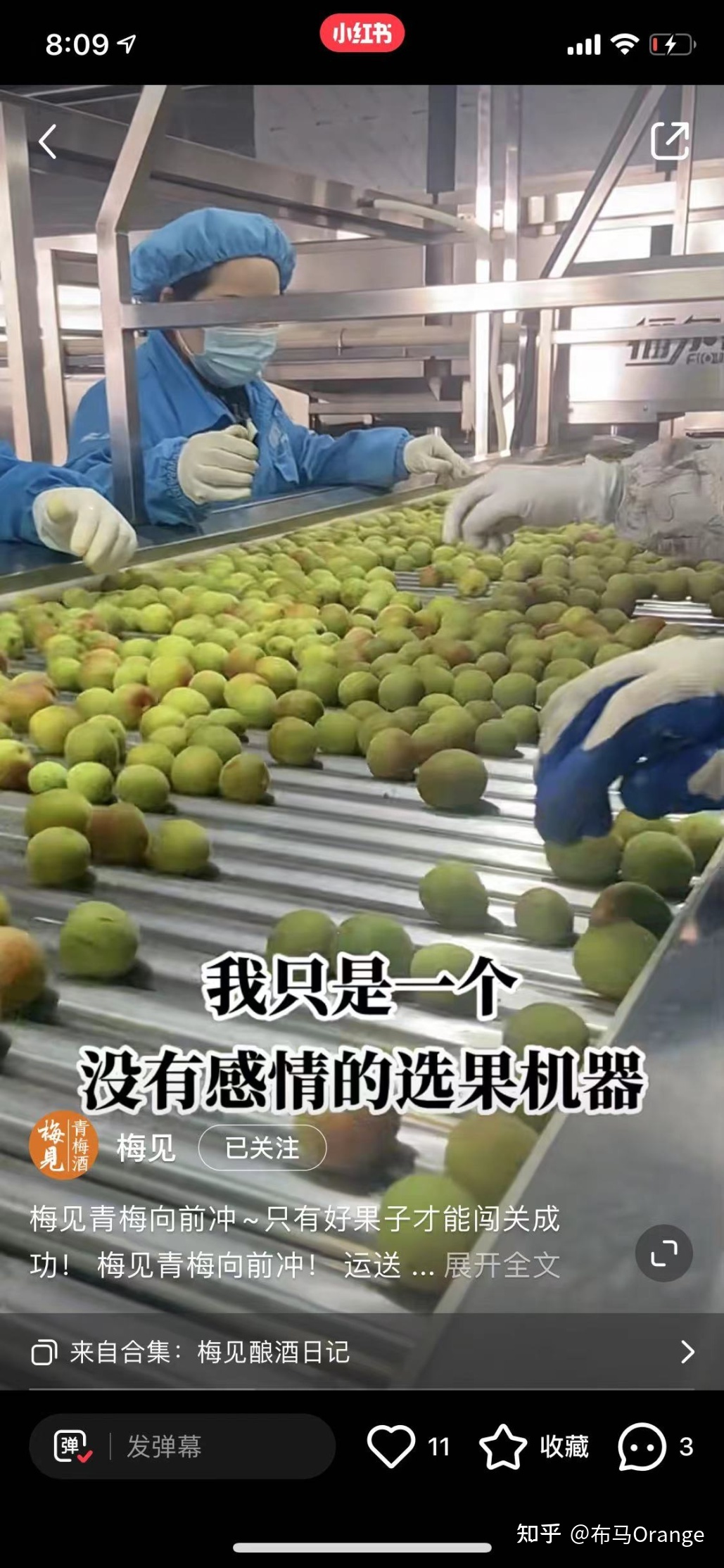 深度 | 怎么在小红书运营好一个酒类品牌？