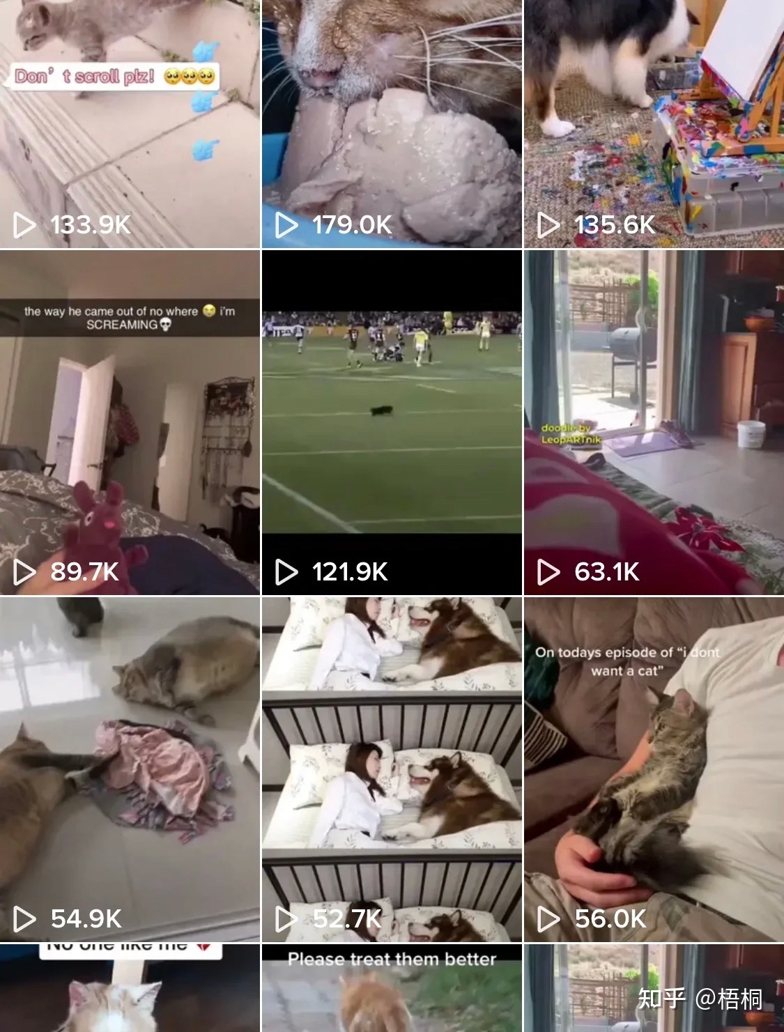 赚钱还能这么容易？玩tiktok三个月赚了10w+，推荐一个暴利 …