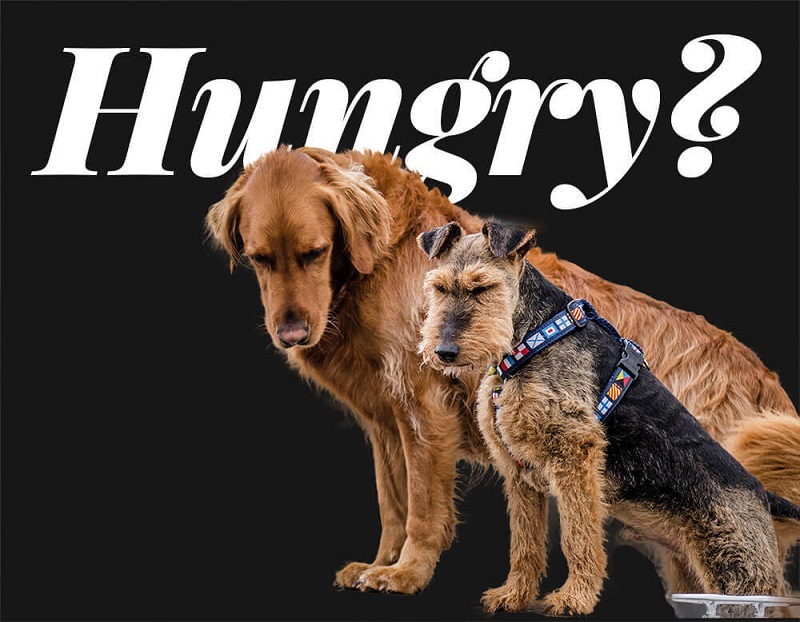 怎么用ps抠图?ps抠图教程