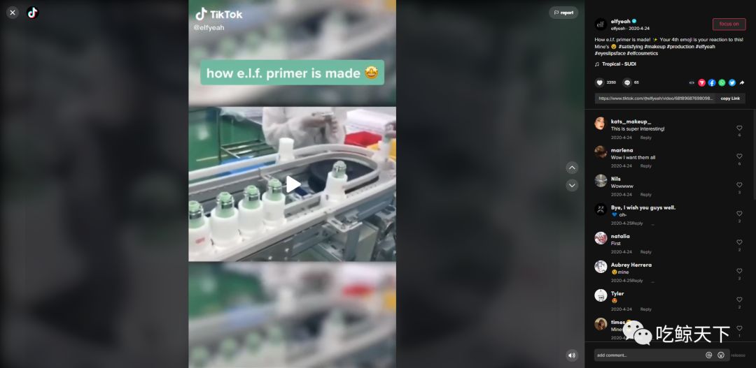 海外网红营销|播放量破亿，e.l.f如何玩转TikTok占领美妆营销 …