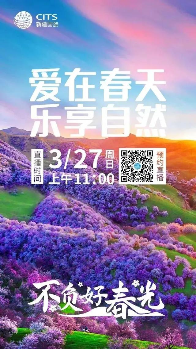 抓住微信视频号营销机遇 高效打造“强品牌”