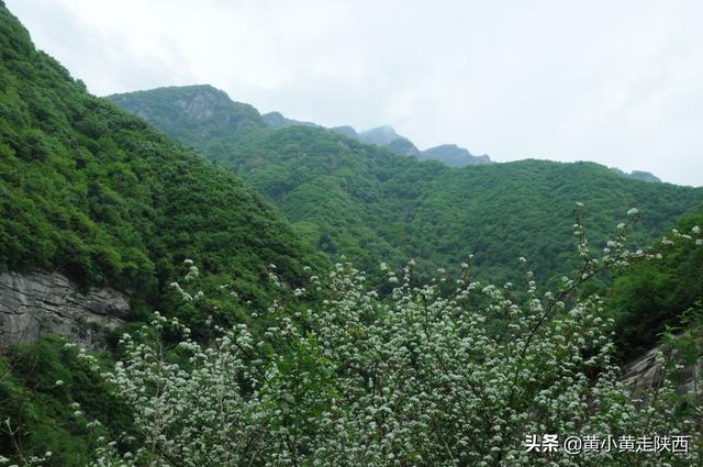 “五一”假期去哪？西安这条峪能开车进山，25公里山水画廊美极了