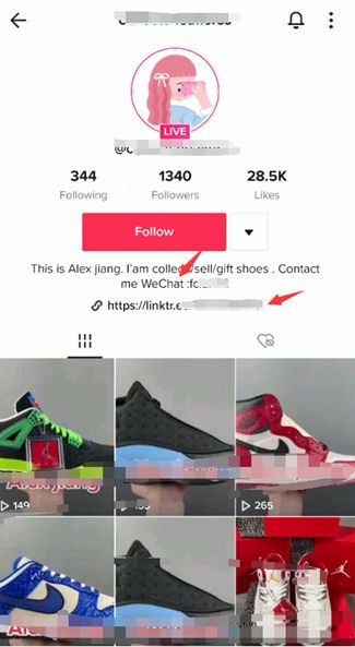 海外Tiktok赚钱的都在玩私域