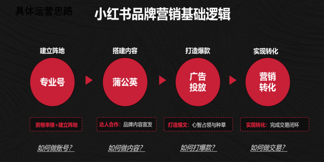 宠物、餐饮、装修、婚摄,线下门店商家如何玩转小红书? 宠物、餐饮、装修、婚摄,线下门店商家如何玩转小红书?