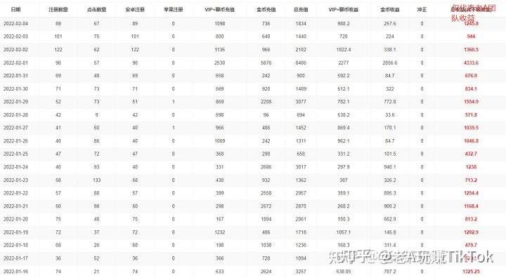 海外版抖音TIKTOK要盈利怎么做才能更精准迅速？
