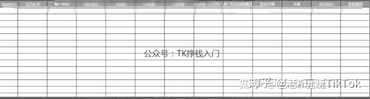 海外版抖音TIKTOK要盈利怎么做才能更精准迅速？
