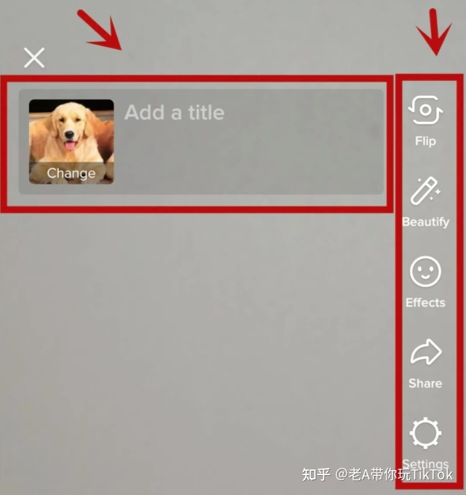 TikTok ：短视频带货的大方向！