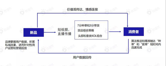 直播带货的黄金组合策略：这份新报告答的都是好问题