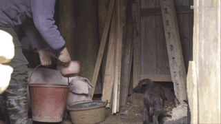 党妹凭颜值称霸美妆区，papi靠才华第二，却都没火过b站照骗的她