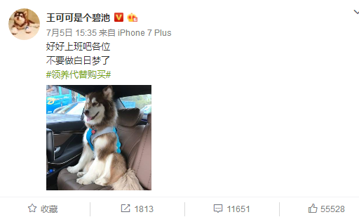 王可可淘宝店是真的吗?王可可淘宝店是谁开的? 王可可淘宝店是真的吗?王可可淘宝店是谁开的?