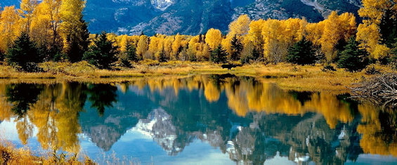 专访中国旅游研究院院长戴斌：展望2014中国旅游