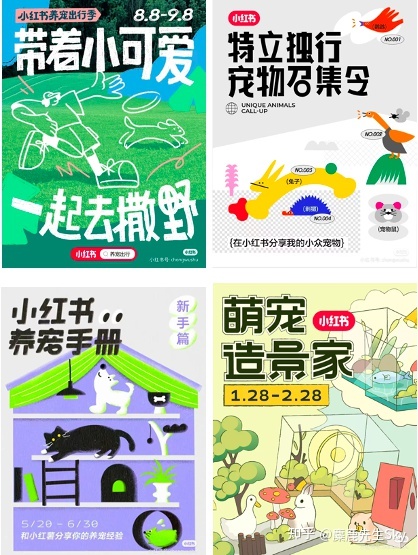 你在小红书的涨粉速度不如狗