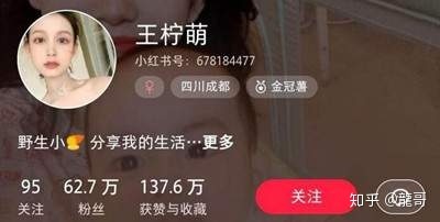 运营一个小红书账号赚钱全攻略 普通人操作也能月入3000+