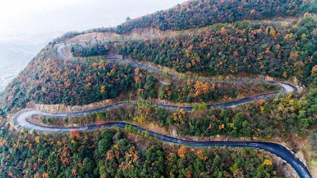 不断“种草”的小红书，正在让互联网杂草丛生