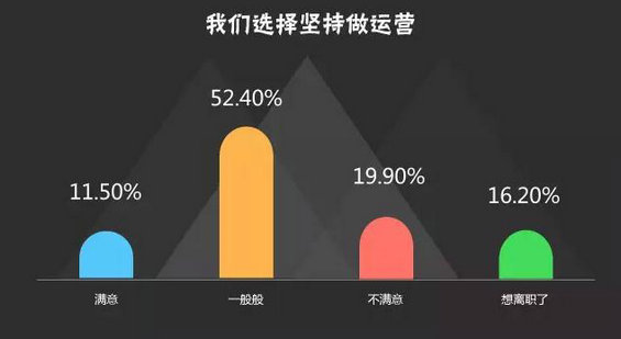 2015运营汪生存现状报告