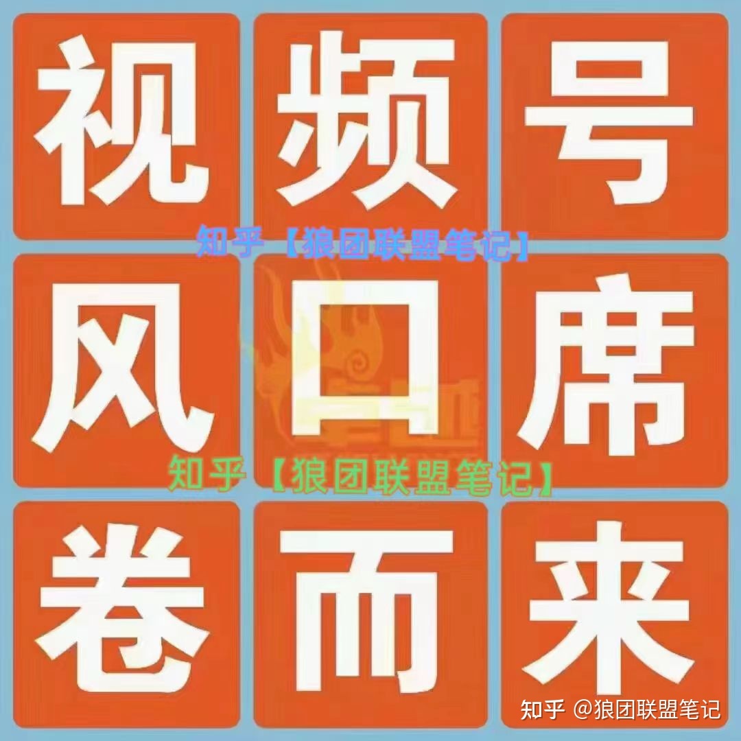 小白如何通过视频号无货源带货月入2万，视频号怎么赚钱 …