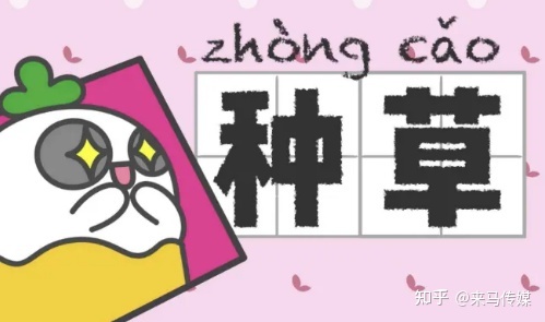 小红书种草营销模式有哪些?品牌方如何利用小红书种草 小红书种草营销模式有哪些?品牌方如何利用小红书种草