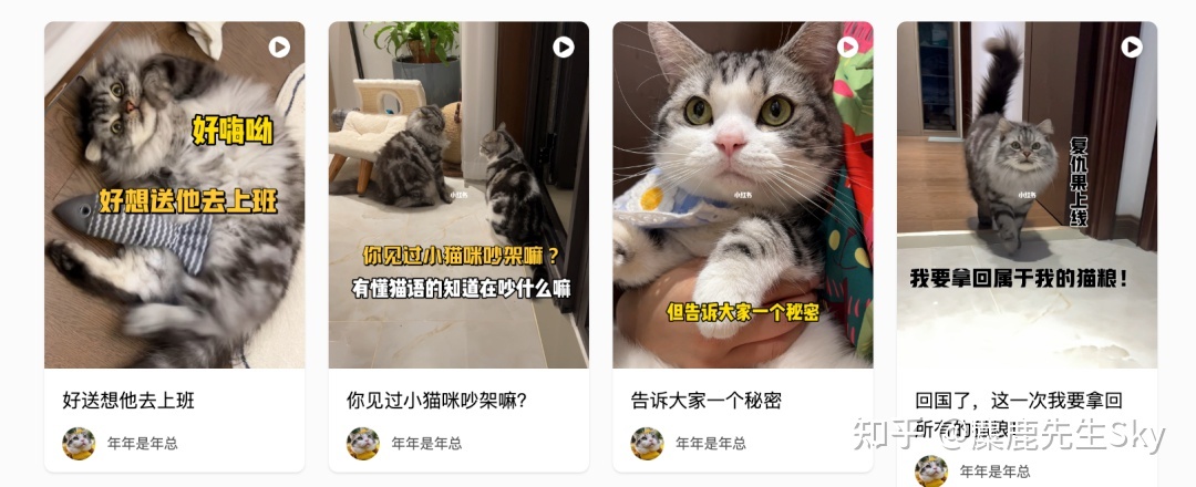 你在小红书的涨粉速度不如狗