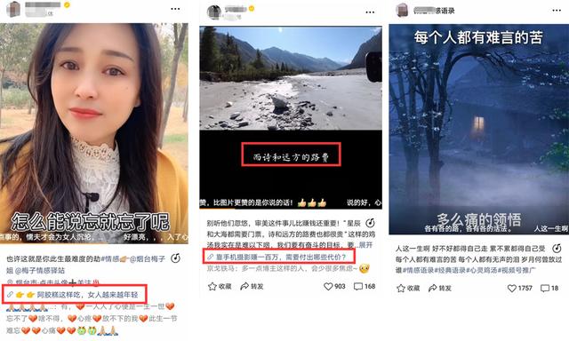 一文讲透，微信视频号上最受欢迎的十种内容类型，新手该如何布局