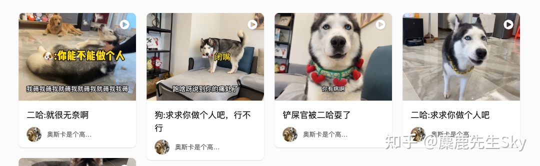 你在小红书的涨粉速度不如狗