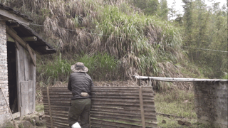 党妹凭颜值称霸美妆区，papi靠才华第二，却都没火过b站照骗的她