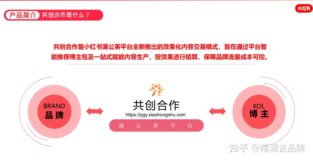 一份小红书IP打造全攻略【建议收藏】