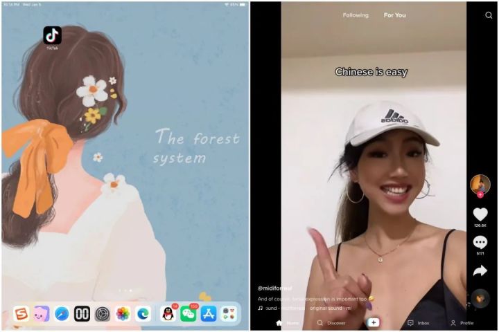 国内也可以下载和使用抖音国际版TikTok，看这一篇教程就够 ...