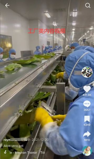 海外Tiktok赚钱的都在玩私域