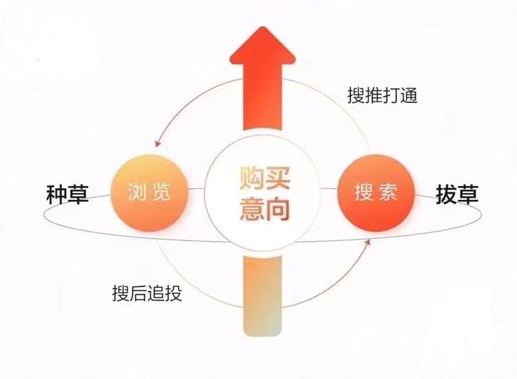 小红书种草神器2.0！聚光平台上线解读