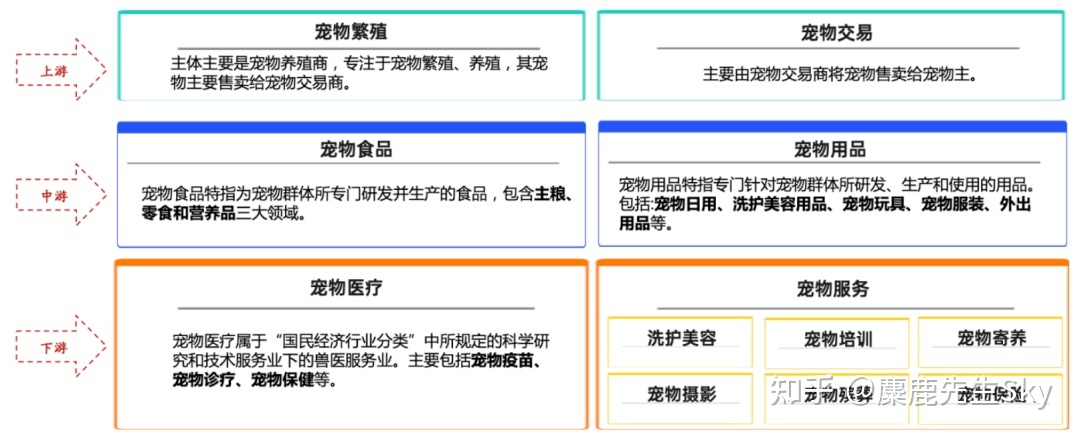 你在小红书的涨粉速度不如狗