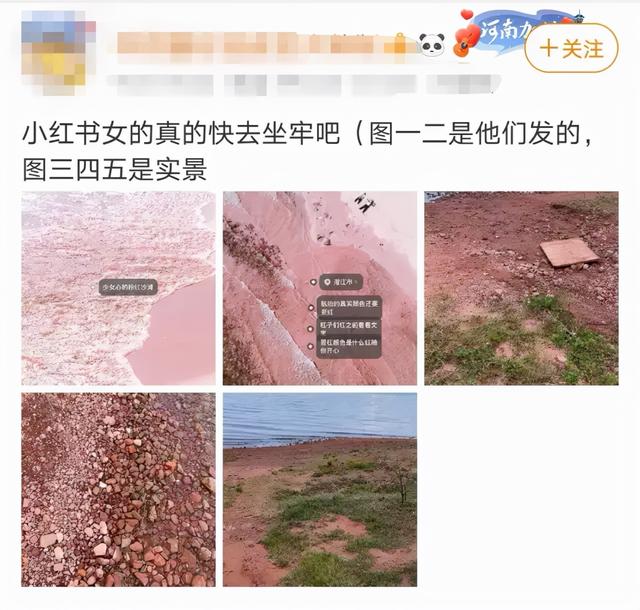 小红书的种草基因,大厂都想抢 小红书的种草基因,大厂都想抢