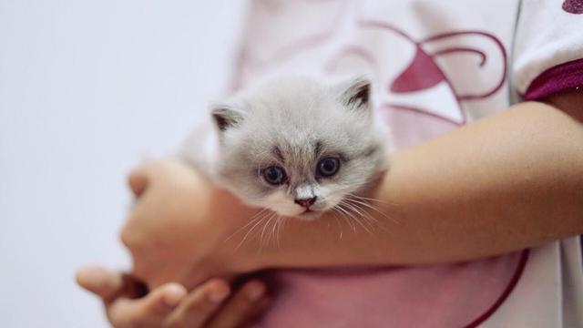 宠物益生菌是个好东西,可如果使用方法错了,钱就白花了 宠物益生菌是个好东西,可如果使用方法错了,钱就白花了