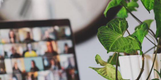 疯狂引流变现，抖音矩阵号玩法揭秘