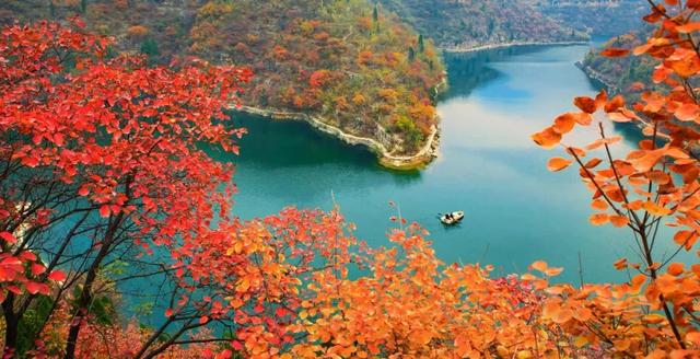 秋游河南,3条旅游线路让你看尽最美景色,门票还免费 秋游河南,3条旅游线路让你看尽最美景色,门票还免费