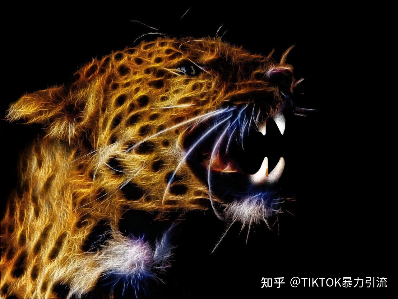 TikTok怎么做私域引流，一个技巧一天获客上千单