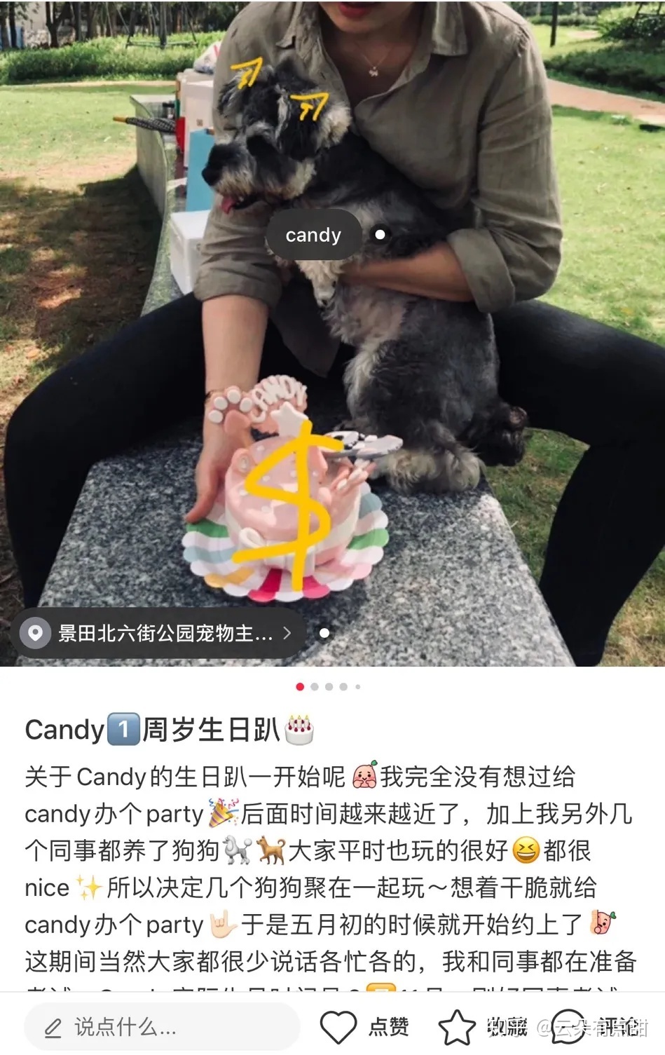 小红书运营干货——新手小白种草