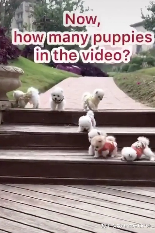 TikTok跨境电商新手，多久能做起来？