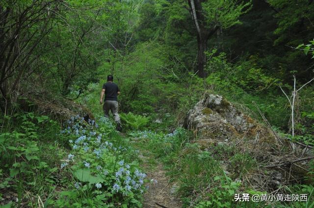“五一”假期去哪？西安这条峪能开车进山，25公里山水画廊美极了