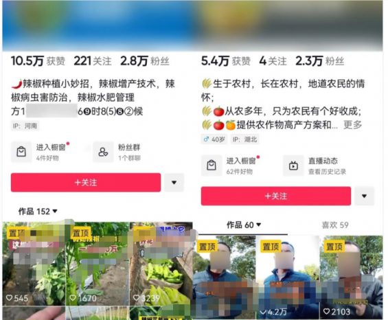 小白抖音卖辣椒，月销2000万！从0到1，真实案例复盘！