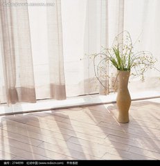 什么是淘宝主图？如何了解淘宝主图