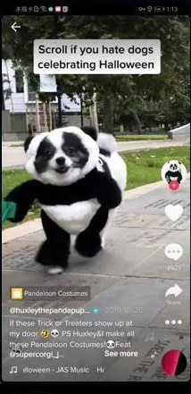 了解一下——海外抖音TikTok月涨粉100万技巧，老A纯分享 …