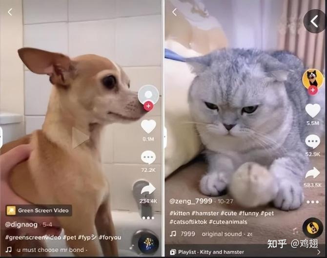 tiktok新号怎么吸粉，tiktok新号怎么快速变现