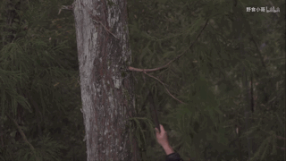 党妹凭颜值称霸美妆区，papi靠才华第二，却都没火过b站照骗的她