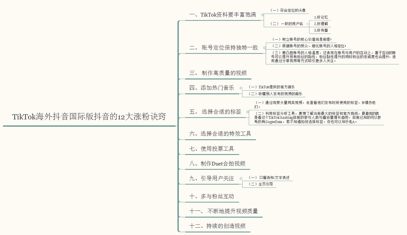 了解一下——海外抖音TikTok月涨粉100万技巧，老A纯分享 …